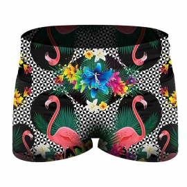 Women Cross Fit Short
